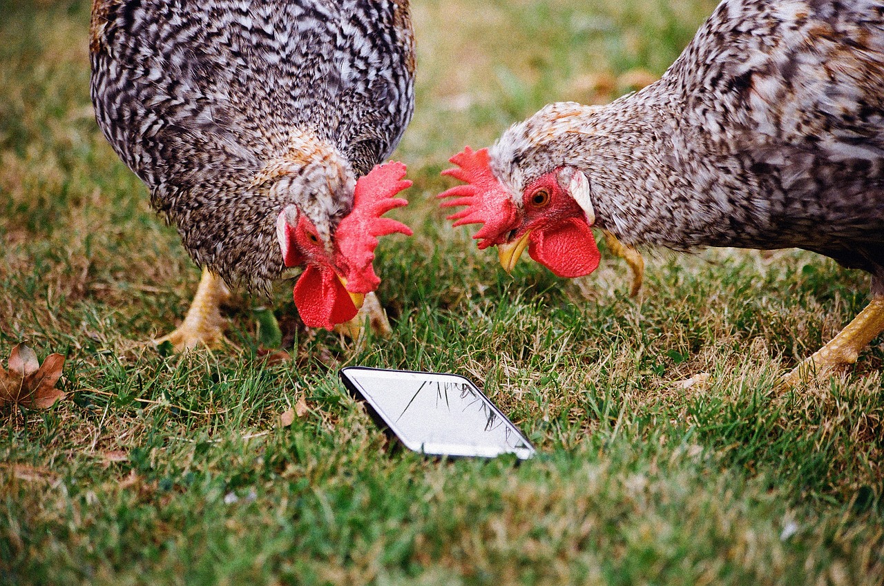 entdecken sie unsere neuen farben für frischen stil und kreative gestaltung.