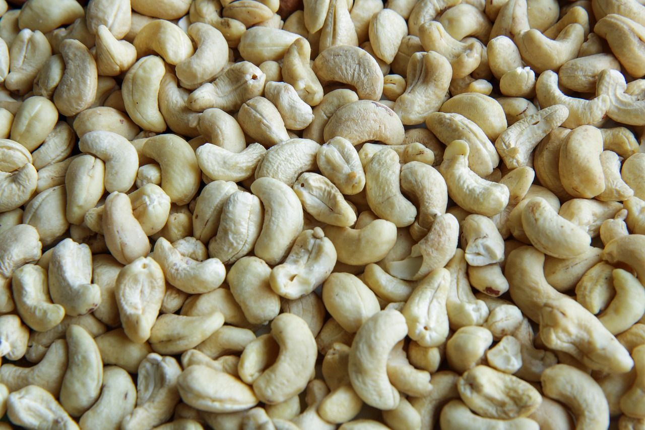 entdecken sie die besten vegetarischen proteinquellen! erfahren sie, welche pflanzlichen lebensmittel reich an eiweiß sind und wie sie ihren täglichen proteinbedarf gesund und vielseitig decken können.