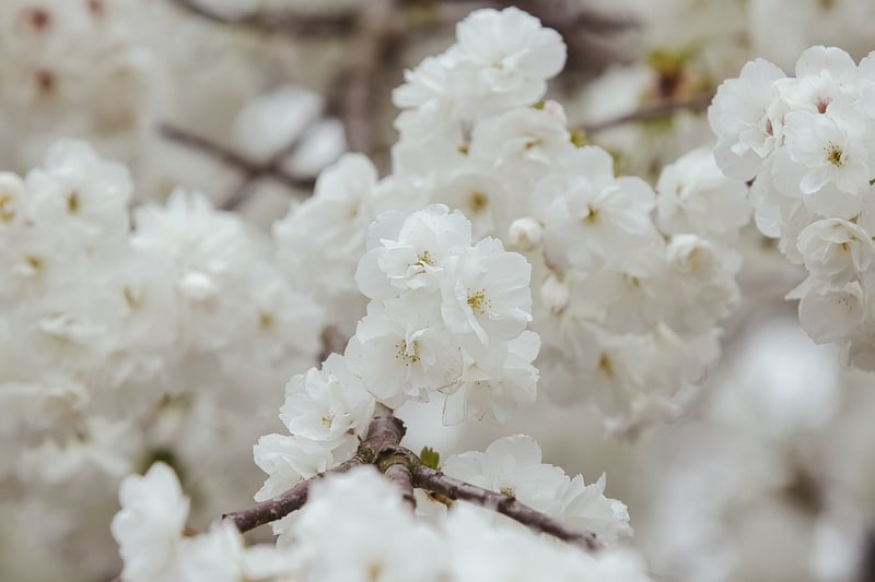 Eckige Klammern auf Tastatur: So tippst du sie 2026 schnell