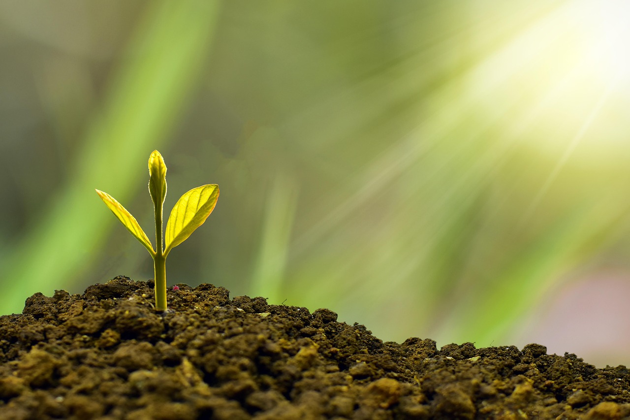 entdecken sie die häufigsten finanziellen fehler und erfahren sie, wie sie diese vermeiden können, um ihre finanzielle zukunft zu sichern. praktische tipps für den umgang mit geld und investitionen.