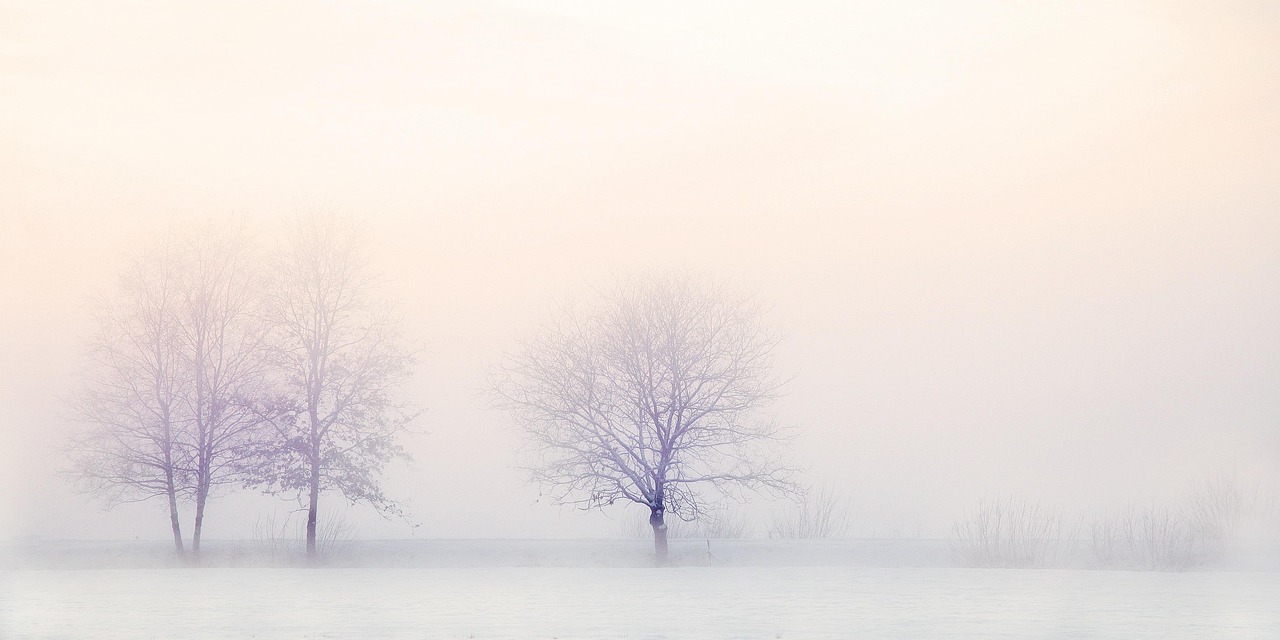 entdecken sie alles über freezing: ursachen, symptome und bewährte methoden zur vermeidung von kälteerscheinungen. informieren sie sich jetzt praktisch und umfassend!