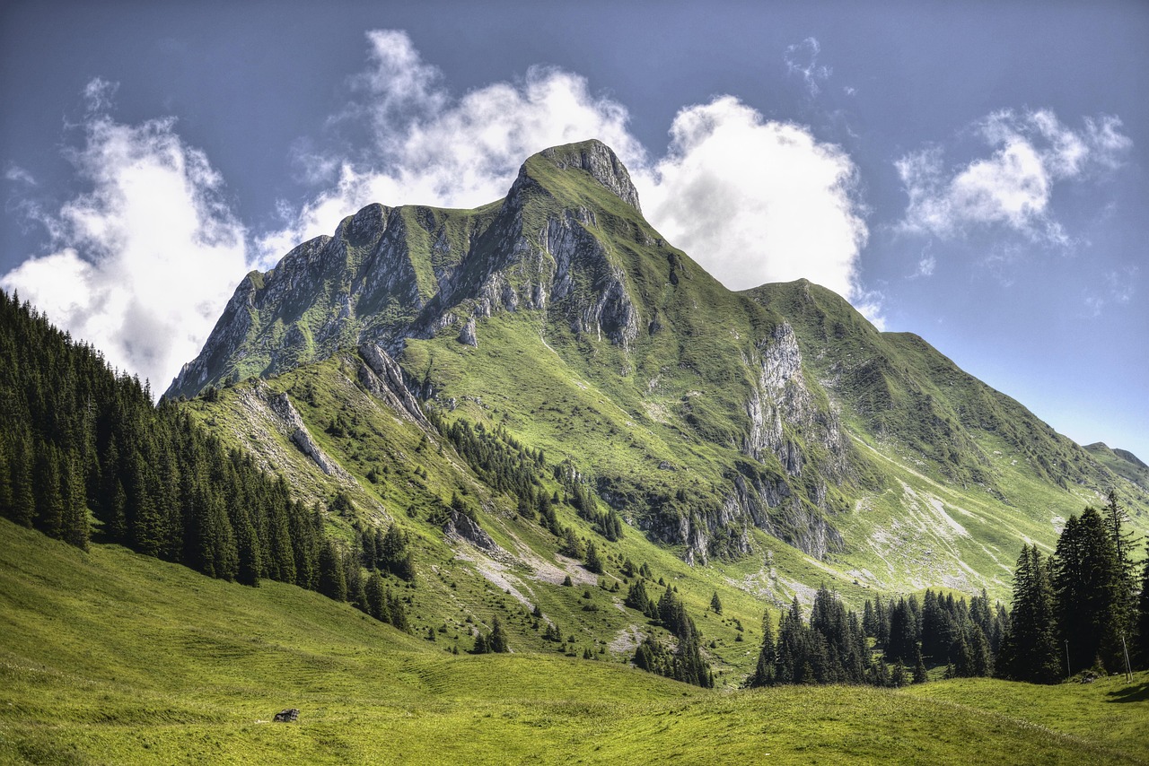 entdecken sie tipps und inspirationen, um ihre lebensziele zu setzen und zu erreichen. erfahren sie, wie sie ihr volles potenzial entfalten und ein erfülltes leben führen können.