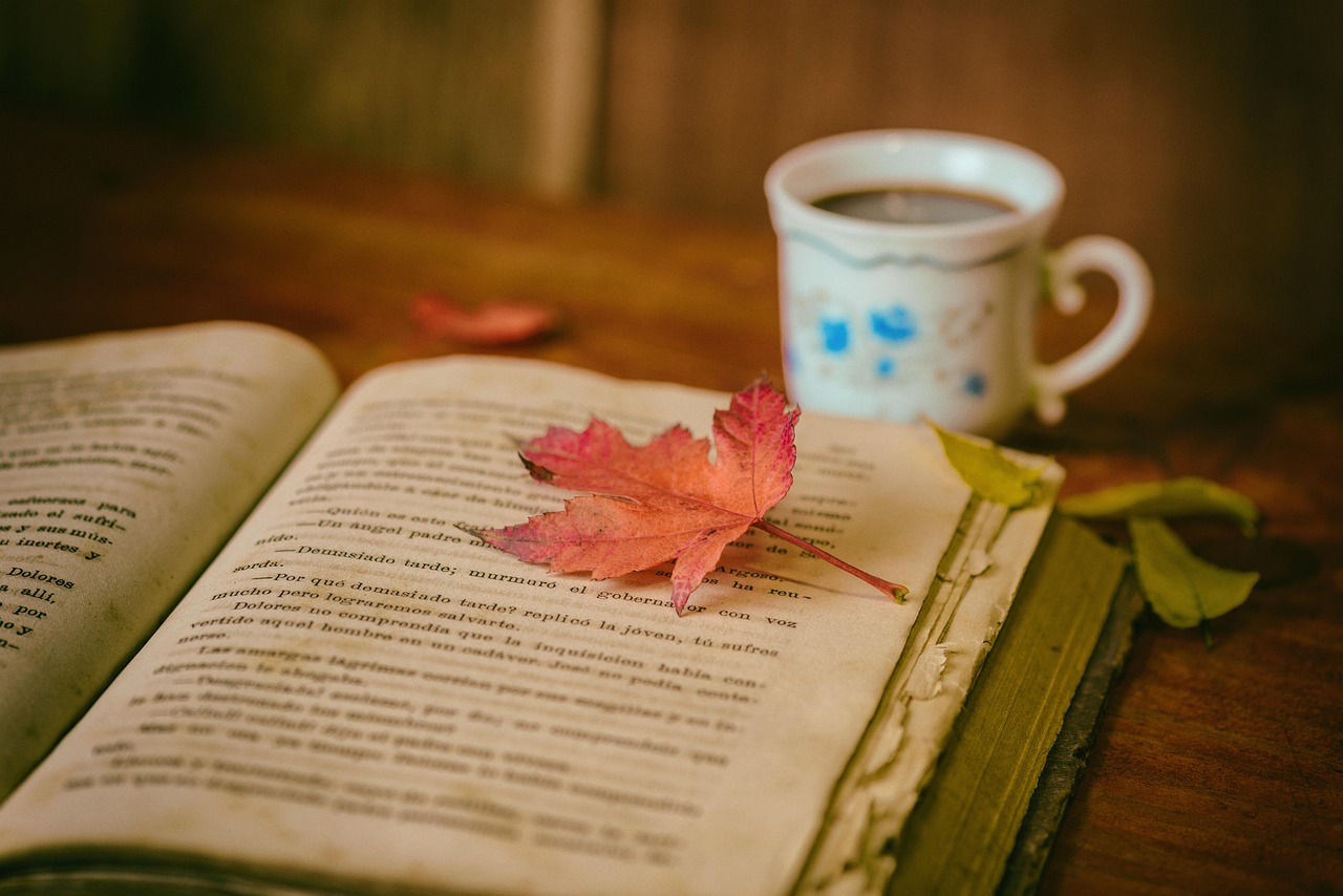 entdecken sie die besten must-read-bücher für jeden geschmack: unsere liste empfiehlt klassiker und moderne bestseller, die sie nicht verpassen sollten. perfekt für alle leseratten!