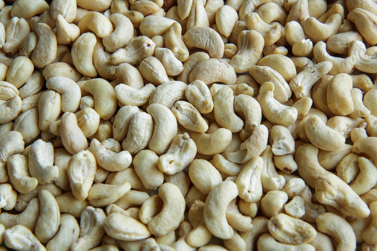 entdecken sie die besten vegetarischen proteinquellen! erfahren sie, welche pflanzlichen lebensmittel reich an eiweiß sind und wie sie ihren täglichen proteinbedarf gesund und vielseitig decken können.
