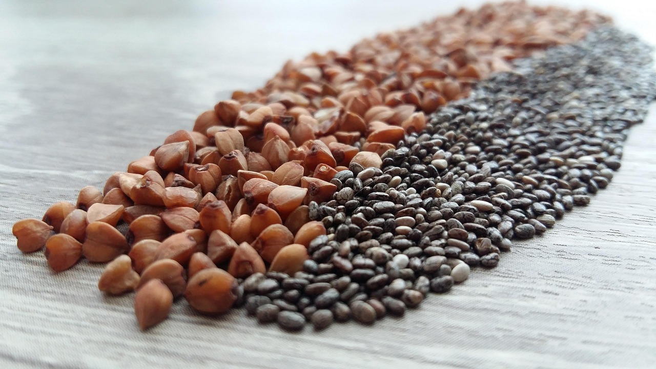 entdecken sie die besten vegetarischen proteinquellen! erfahren sie, welche pflanzlichen lebensmittel viel eiweiß enthalten und wie sie ihren proteinbedarf als vegetarier optimal decken können.