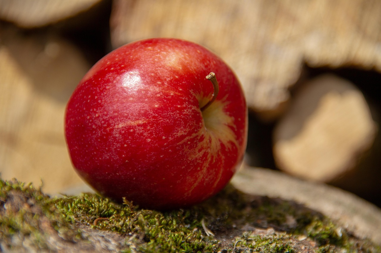 entdecken sie alles wissenswerte über vitamine: funktionen, vorteile und wie sie ihre gesundheit unterstützen. erfahren sie, welche vitamine ihr körper braucht und wie sie diese optimal aufnehmen.